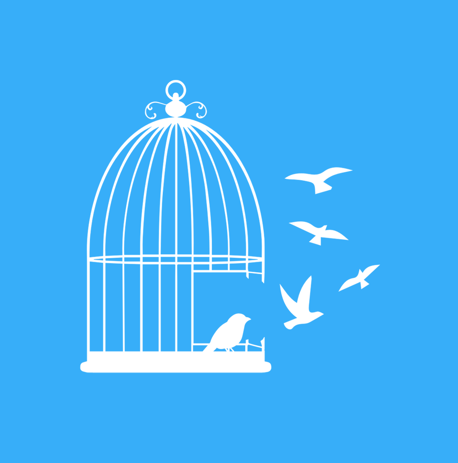 Freedom
